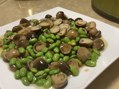 -东康桂家农庄