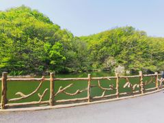 -西泰山风景区