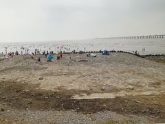 -南汇新城海滩