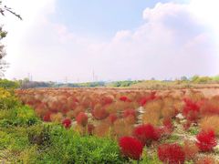 -映月湖中央公园