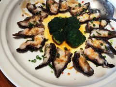 -顺德了能馆(虎门店)