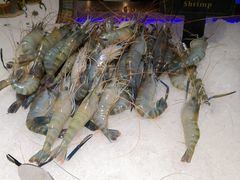 -加餐海鲜自助(宝龙一城店)
