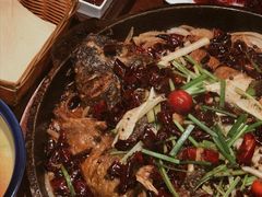 -老板恋上鱼(恒隆广场店)