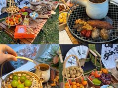 -栖露营camping·天幕烧烤·团建拓展·采摘营地