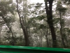 -伏羲大峡谷
