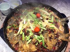 -老板恋上鱼(恒隆广场店)