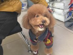-宠颐生中康贝怡动物医院