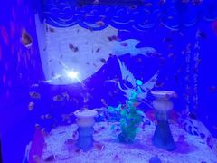 -烟台海昌鲸鲨海洋公园