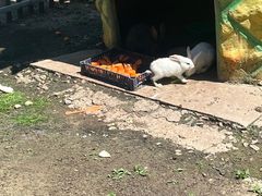 -哈尔滨北方森林动物园