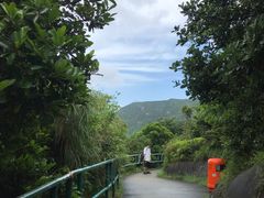 -南丫岛