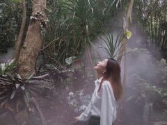 -呀诺达热带雨林