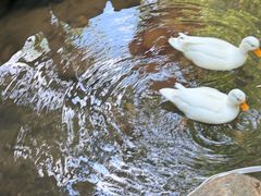 -竹泉村旅游度假区