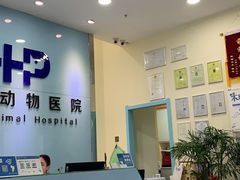 -希望动物医院(汉阳院)