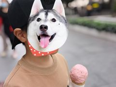 -白天鹅宾馆·美食屋