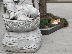 -灵谷景区