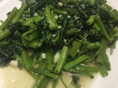 -山水间小院