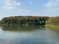 -昆山城市生态森林公园