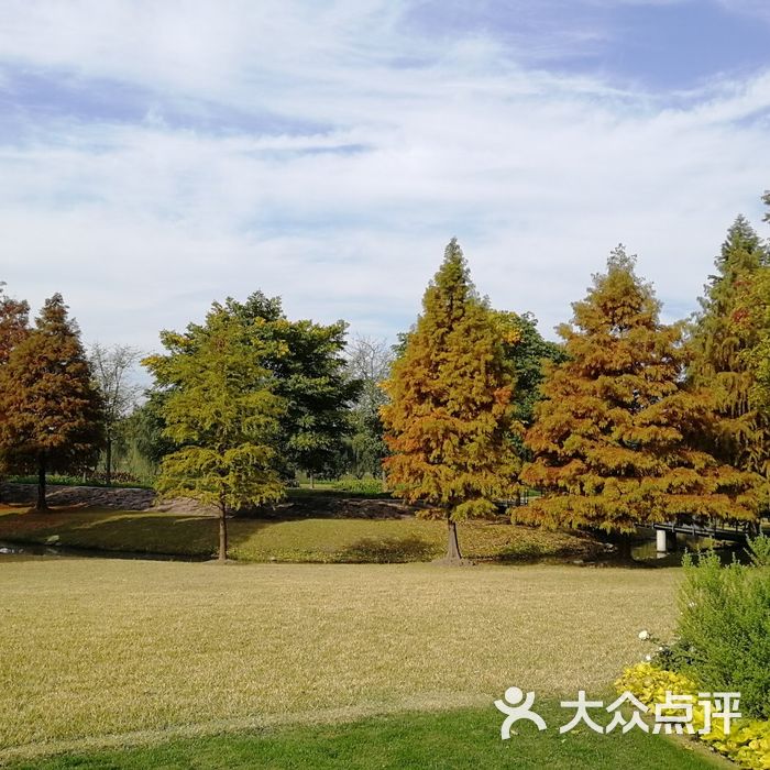 上海辰山植物園圖片-北京植物園-大眾點評網