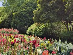 -上海鲜花港