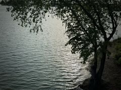 -贡湖湾湿地公园