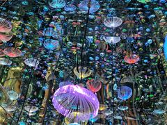 -成都梵高星空艺术馆(春熙路旗舰店)