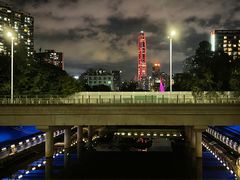 -福田红树林生态公园