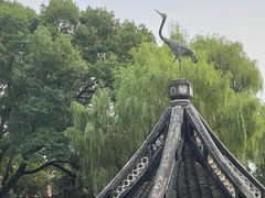 -上海醉白池公园
