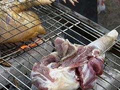 -海南热带雨林国家公园吊罗山景区