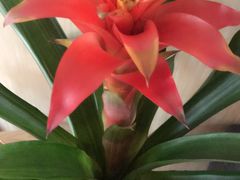 -耳语轻风专业采耳馆(古北花世界商业广场店)