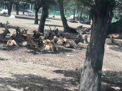 -西安秦岭野生动物园