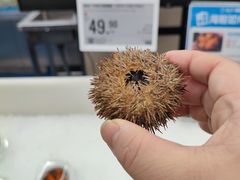 -盒马X会员店(上海森兰商都店)