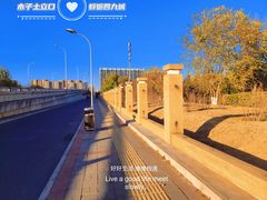 -东升八家郊野公园