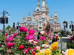 -上海迪士尼度假区