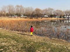 -朝阳公园游乐园