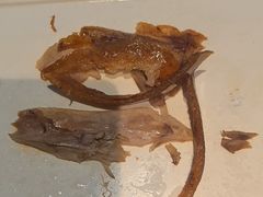 酥不腻烤鸭与鱼子酱-小大董·烤鸭(观景餐厅·南京西路店)