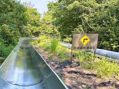 -富斯特索道