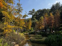 -云溪植物园