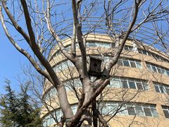 -大连外国语大学(旅顺校区)