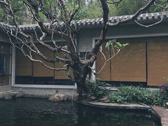 -广州兰圃