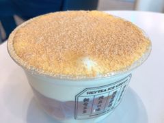 豆豆波波杯-喜茶(迪士尼小镇DP店)