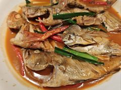 -杨氏青龙虾·羊蝎子(珠江路店)