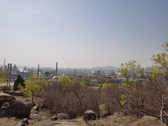 -白水寺森林公园