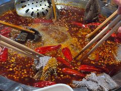 -懂食汇自助火锅