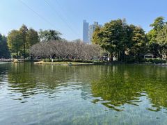 -晓港公园