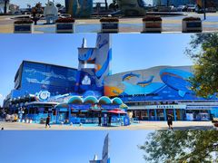 -海合安青岛极地海洋公园