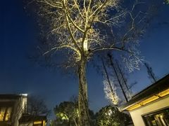 -杭州西湖柳莺里酒店·闻莺厅