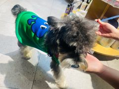 -FAELING PETS美天灵宠物(富力广场店)