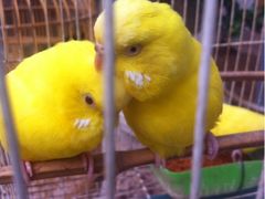 iphone_upload_pic-迎泽公园