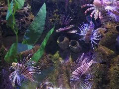 -太平洋海底世界