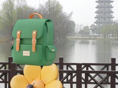 -洋湖国家湿地公园